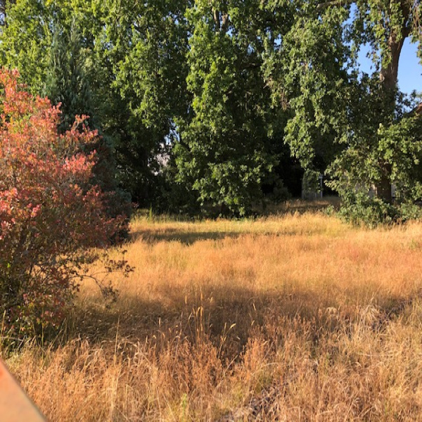 Offres de vente Terrain Andernos-les-Bains 33510