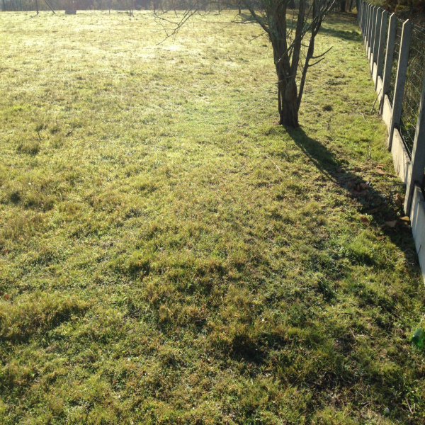 Offres de vente Terrain Audenge 33980